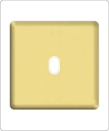 Выключатель одноклавишный проходной Fede, на клеммах, bright gold/бежевый