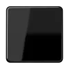 Клавиша для выключателя и кнопки; черная CD590SW Jung